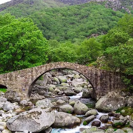 Room In Bungalow - El Rojo Lovely Cottage With Good Views 게스트하우스 칸델레다